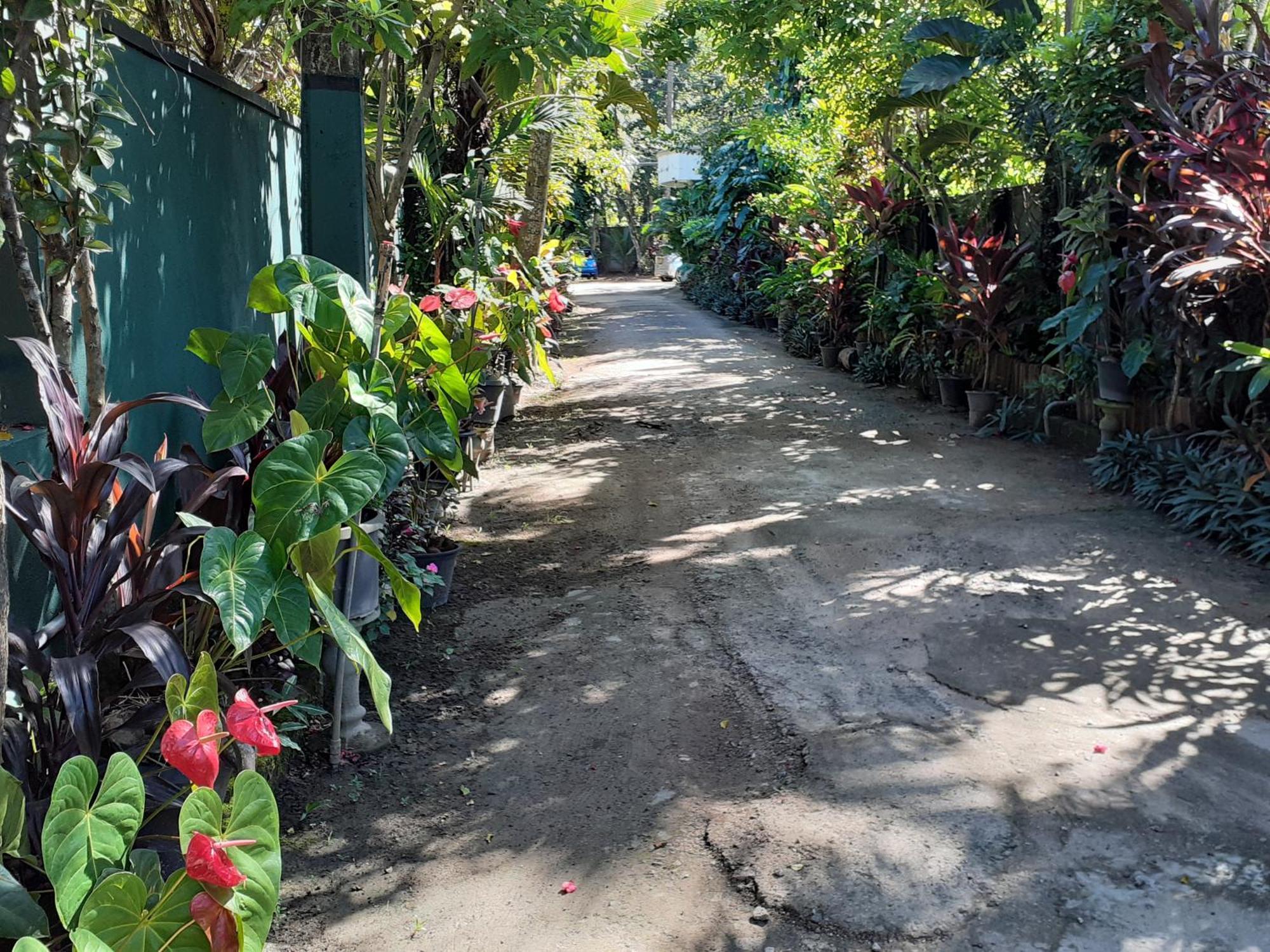 Nooit Gedacht Holiday Resort Unawatuna Zewnętrze zdjęcie