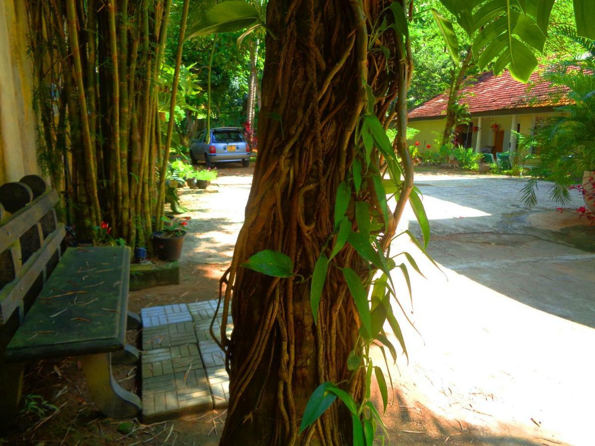 Nooit Gedacht Holiday Resort Unawatuna Zewnętrze zdjęcie